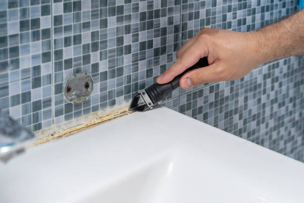 Best DIY Mold Remediation Support Services in Gang Mills, NY