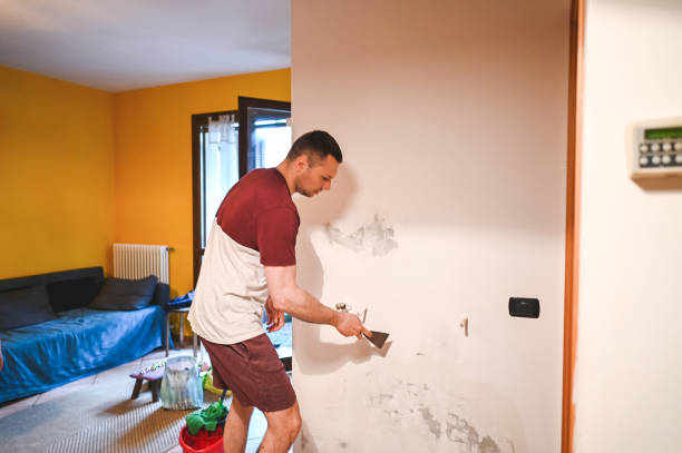 Best DIY Mold Remediation Support Services in Gang Mills, NY